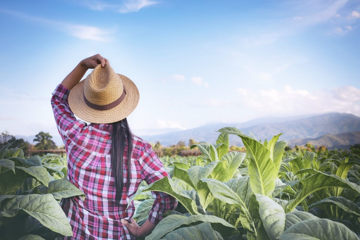 Ingeniería Agrónoma | Mujer Ingeniera