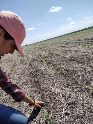 Ingeniera Agrónoma Victoria Rolón en el campo